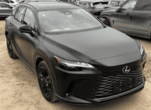 LEXUS RX300 2025 - миниатюра 1